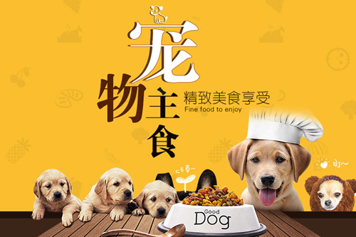 仟寻爱宠