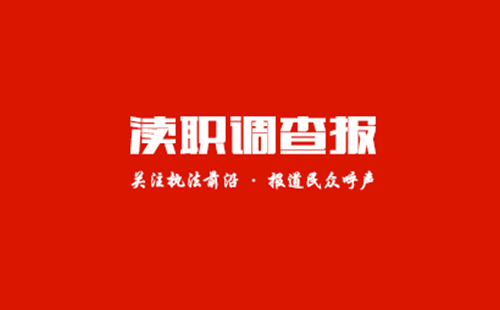 中国渎职调查报